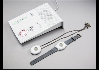 image of a linkline alarm